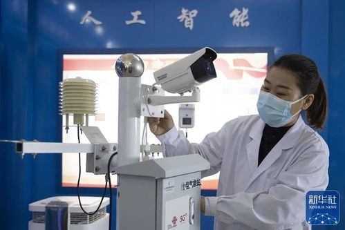央媒看龍江 中國最北自貿區，數字經濟與綠色科技雙引擎驅動發展